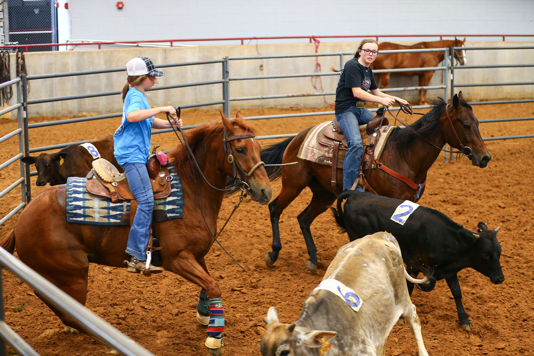 Ranch Sorting of America